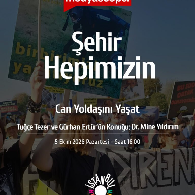 Şehir Hepimizin (471): Sokak köpekleri iki yılda nereye kayboldu? | 7527 sayılı yasa bilançosu